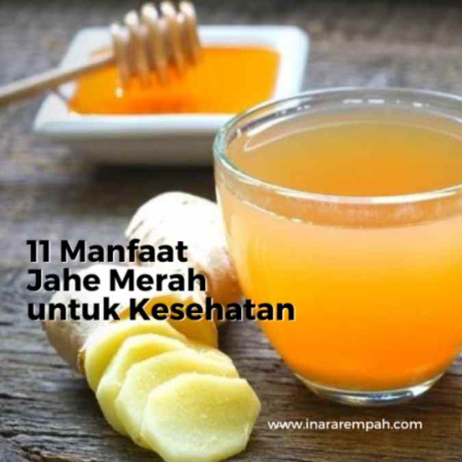Manfaat Konsumsi Jahe Merah