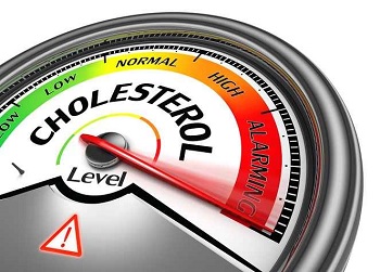 Waspada Kolestrol Tinggi