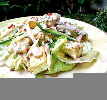 Menu Diet Salad Tahu