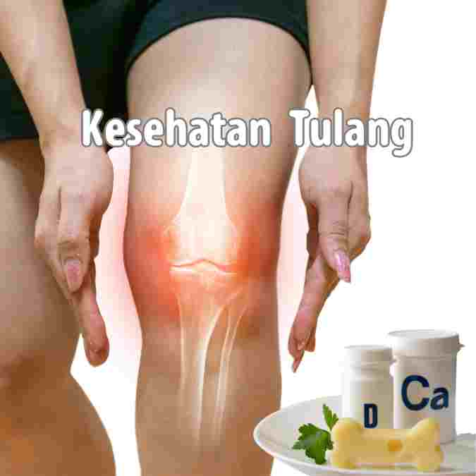 Membangun Fondasi Kesehatan Tulang: Eksplorasi Tiga Serangkai Kalsium, Magnesium, dan Fosfor